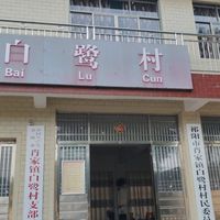 肖家镇白鹭村