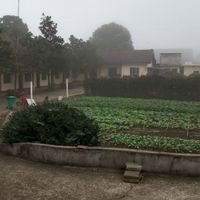 安乡县大鲸港羌口敬老院
