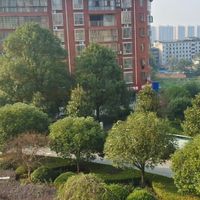 竹塘村老年人活动中心2