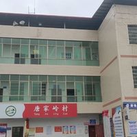 浯溪办唐家岭村