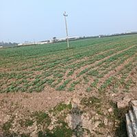 安康乡大洲社区养老服务示范点