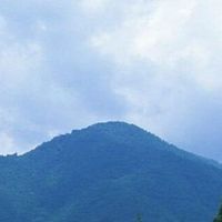 城北街道育林社区