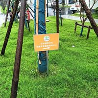 埭溪镇五石坞村养老服务中心